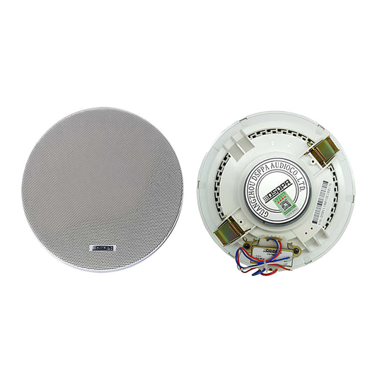 DSP5211 10W 6.5 Inch Coaxial Frameless Ceiling Speaker