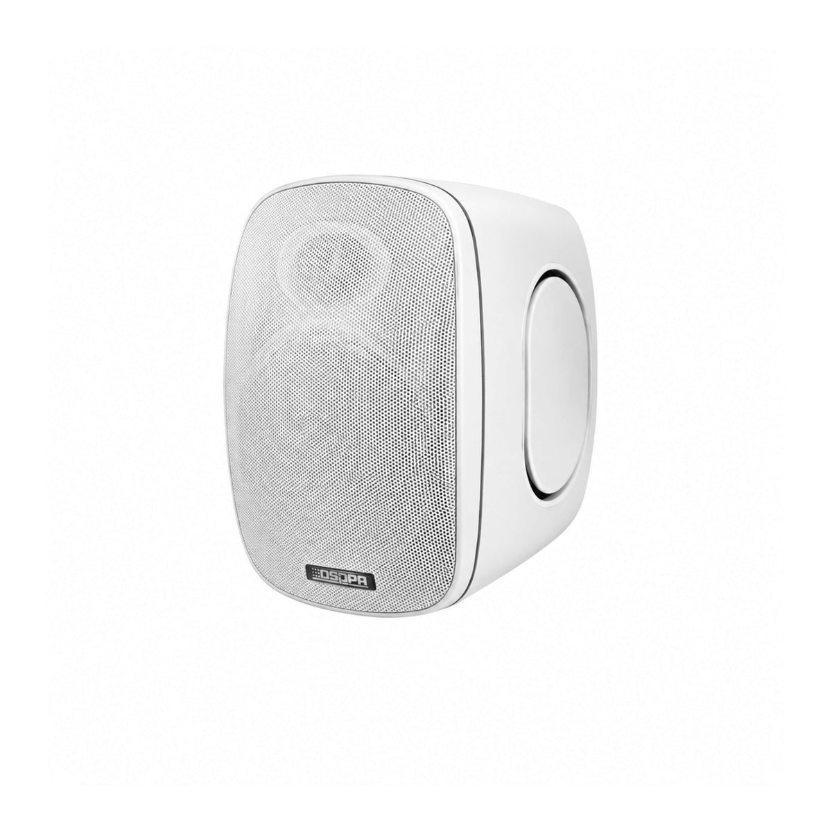 DSP6050 Outdoor Waterproof Wall Mounted Speaker