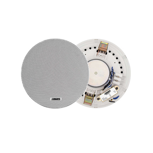 DSP6011 6.5 Inch Frameless Ceiling Speaker